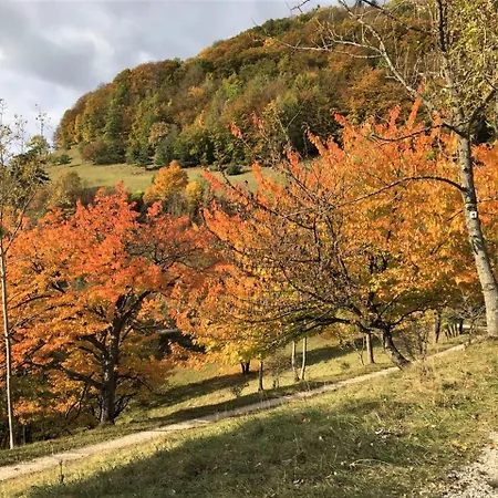 Albfewo Appartamento *